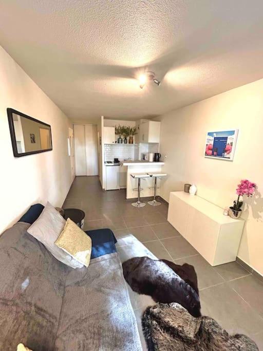 un salon avec un canapé et une cuisine dans l'établissement Chez Jean, Studio cosy, à Toulouse