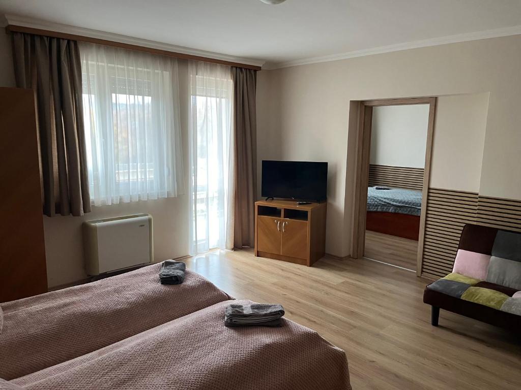 Televízia a/alebo spoločenská miestnosť v ubytovaní Brookforest Apartman