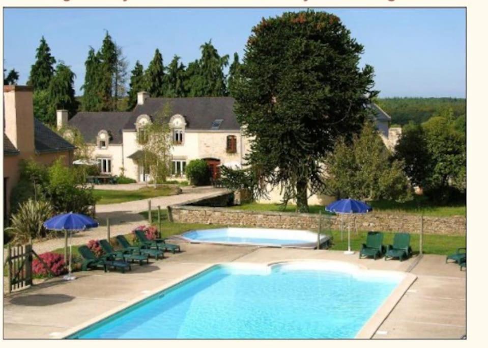 a swimming pool with chairs and umbrellas in front of a house at Les Bergeronnettes in Camors