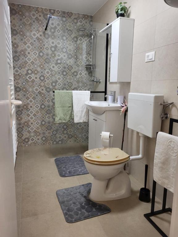 Koupelna v ubytování Apartman Lujzijana