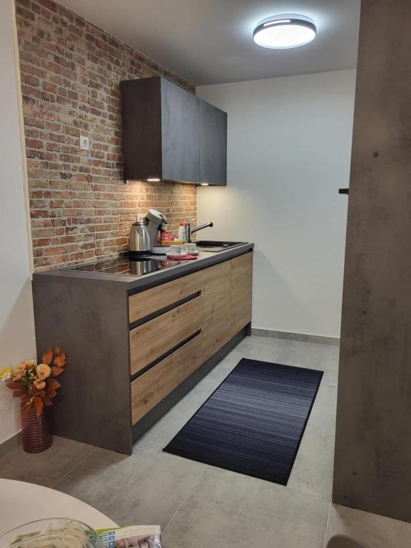 Kuchyň nebo kuchyňský kout v ubytování Apartman Lujzijana
