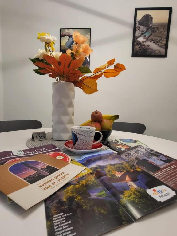 Fotografie z fotogalerie ubytování Apartman Lujzijana v destinaci Karlovac