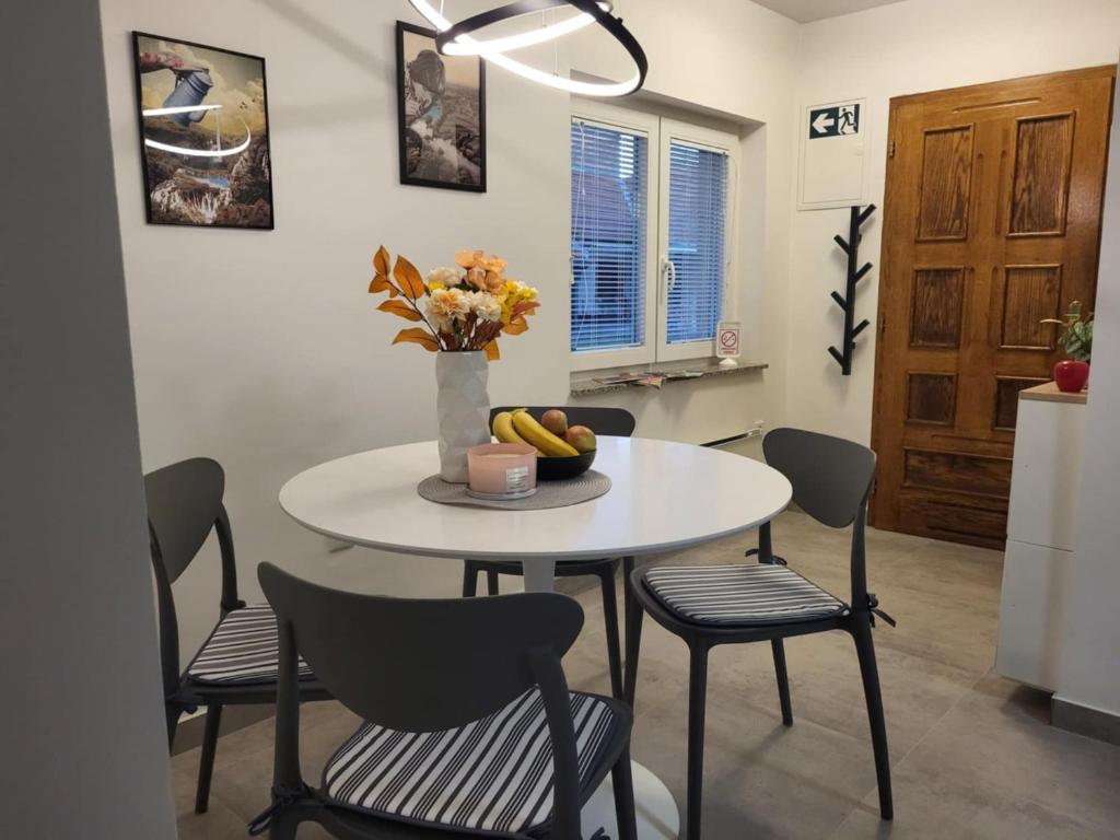 Fotografie z fotogalerie ubytování Apartman Lujzijana v destinaci Karlovac