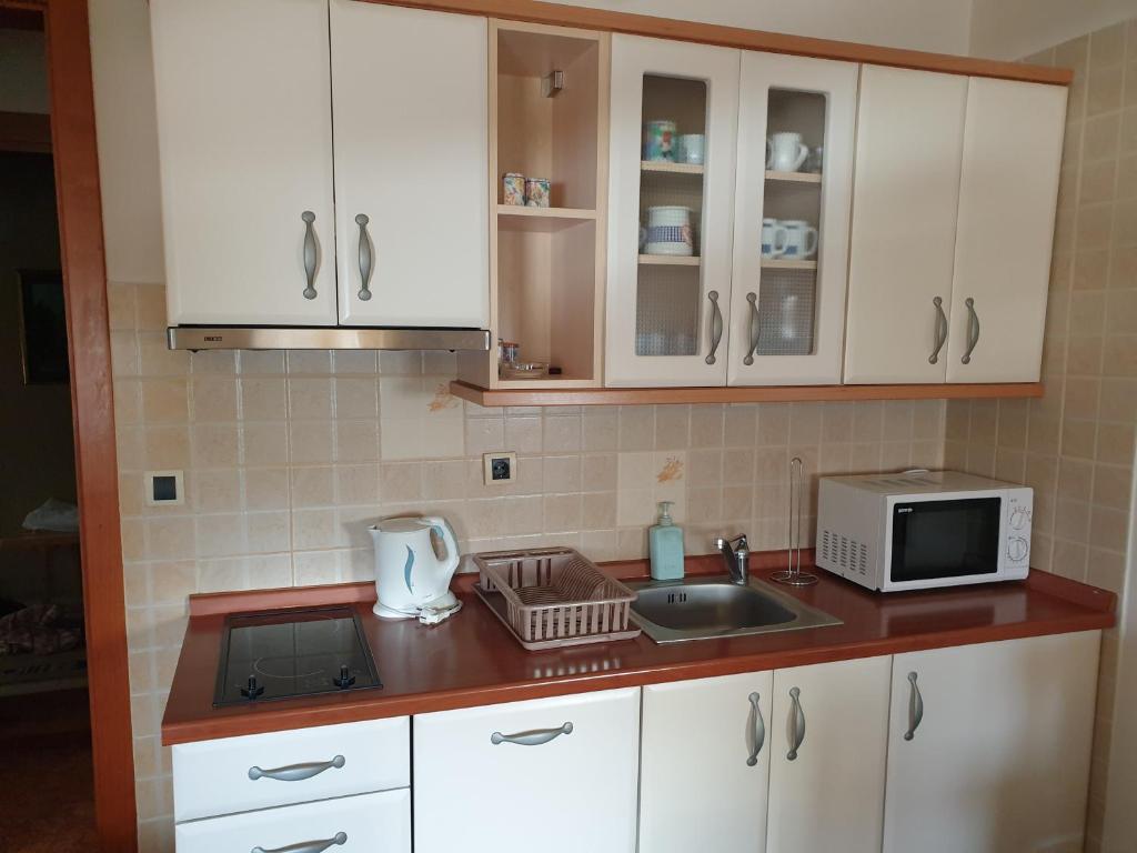 Η κουζίνα ή μικρή κουζίνα στο Lux centar