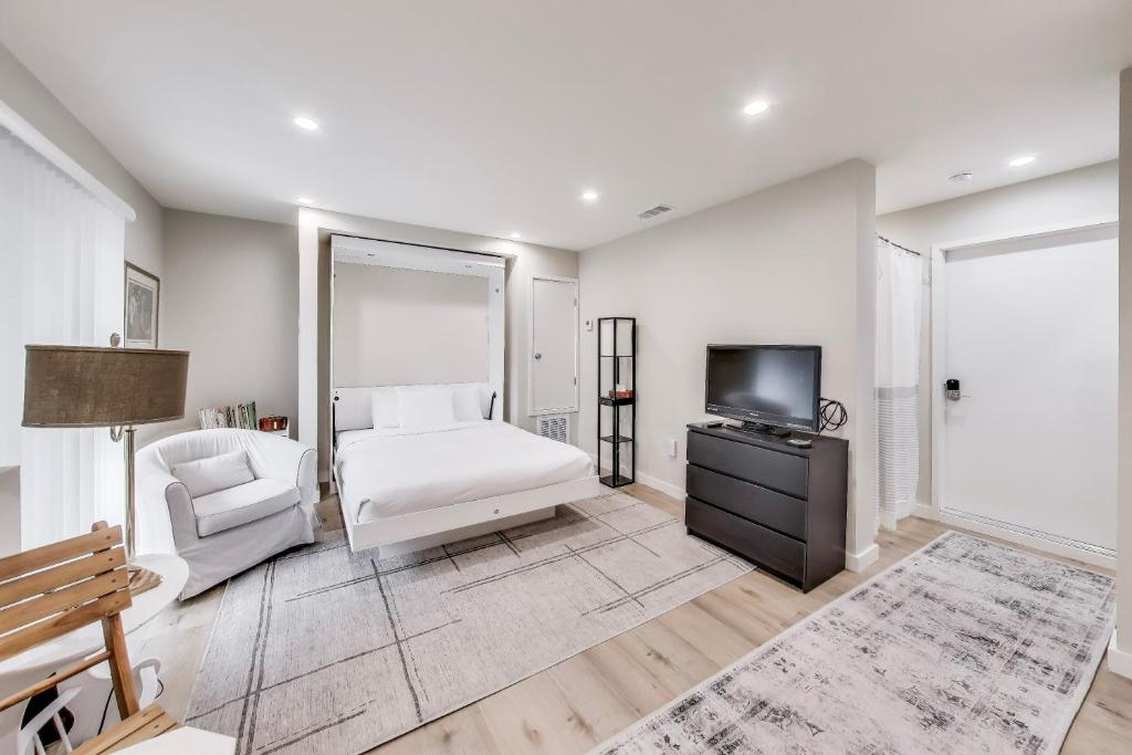 een slaapkamer met een bed, een tv en een stoel bij Cozy Marina Studio w Murphy Bed & Garden Oasis in San Francisco