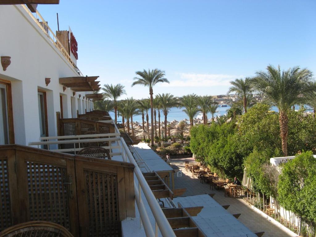 a balcony with a view of the beach and palm trees at Oonas Dive Club in Sharm El Sheikh