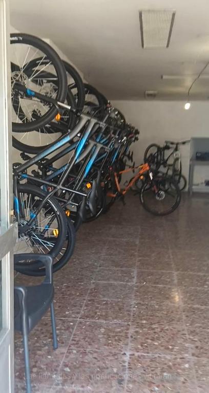 Jízda na kole v ubytování Hostal-Cicloturismo Lopenea nebo okolí