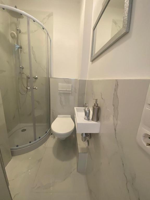 Vienna Luxury Dream Home - 10