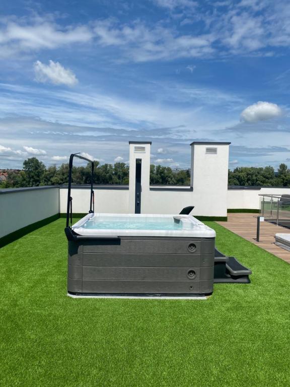 The swimming pool at or close to Royal Martin's Apartment