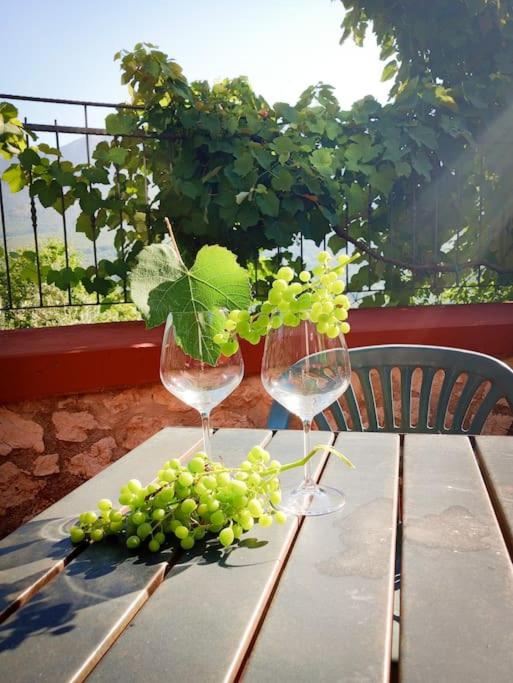 two wine glasses and a bunch of grapes on a table at Casa Silvia Balsorano in Balsorano Vecchio