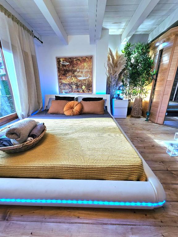 AMA Esclusive SPA Bologna