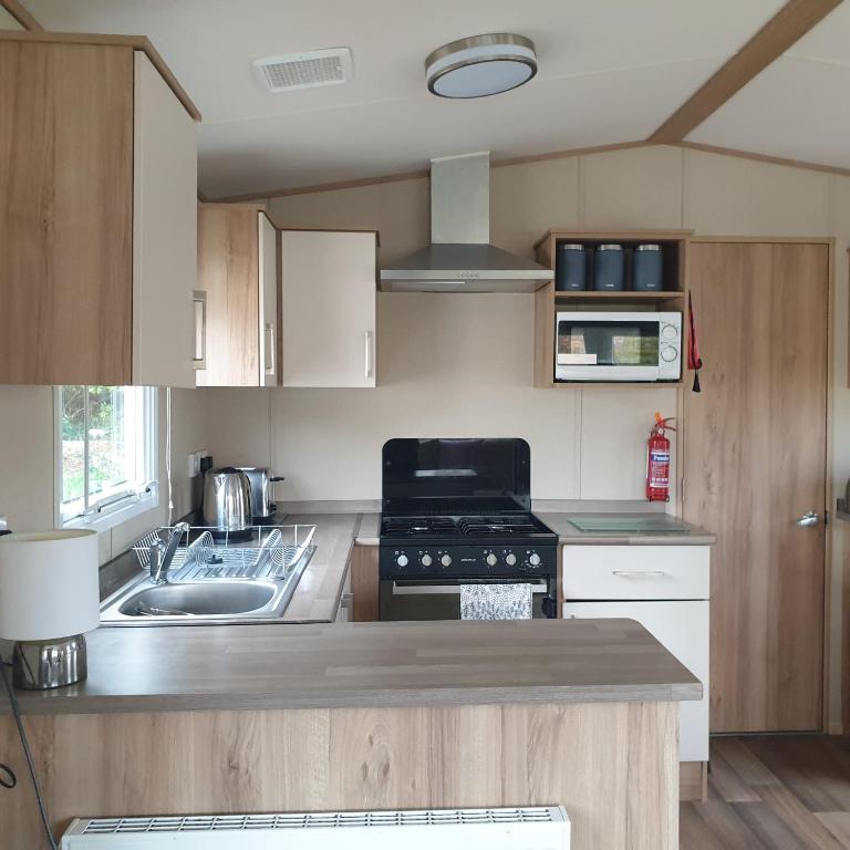 a small kitchen with a stove and a sink at Caravan under the tree in Port Seton