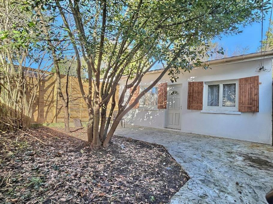 ein Baum in einem Hof neben einem Haus in der Unterkunft Cosy Des Rêves in Villiers-sur-Marne