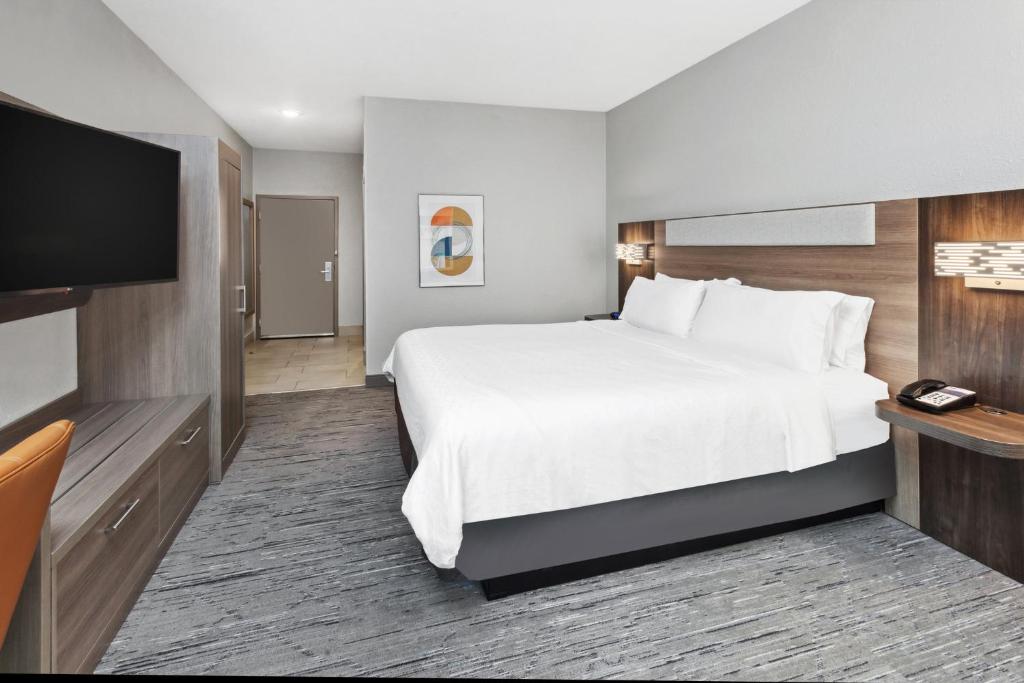 Holiday Inn Express Cleveland Airport - Brook Park by IHG - Suite De Un Dormitorio Con Sofá Cama