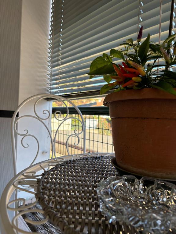 Balkón nebo terasa v ubytování B&B Stella