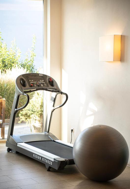 Fitness centrum a/nebo fitness zařízení v ubytování Hotel Niedermair