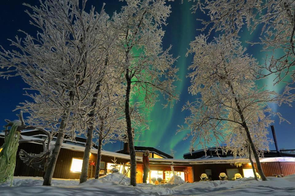 an aurora shines in the sky behind trees at Máttaráhkká Northern Light Lodge in Kiruna