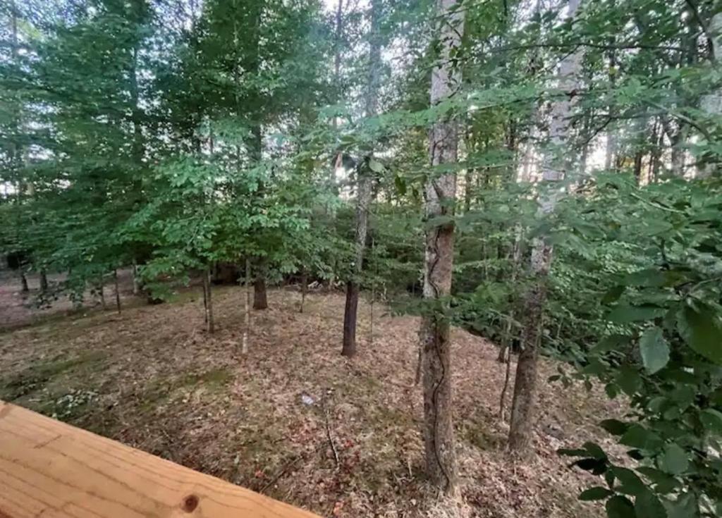 Photo de la galerie de l'établissement Cottage close it the Lake, à Somerset