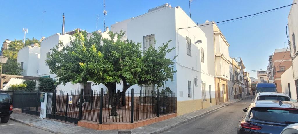 a street with a white building and a tree at Casa El limonero in Seville