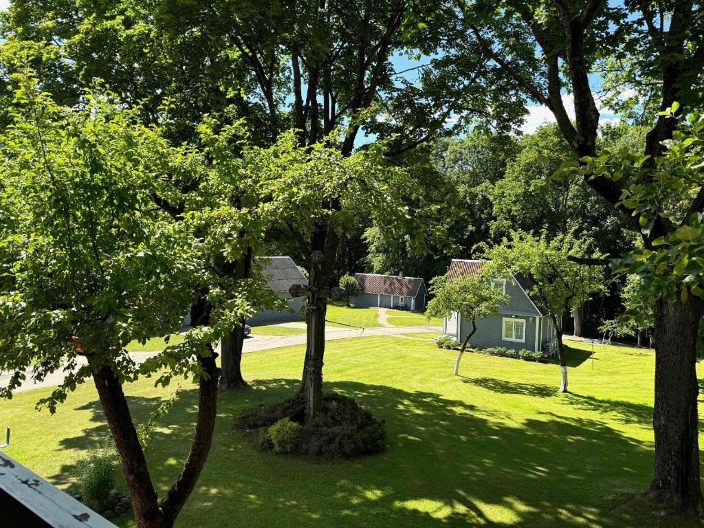 a view of a yard with trees and a house at Maple House - Sodyba Tarp Klevų in Utena