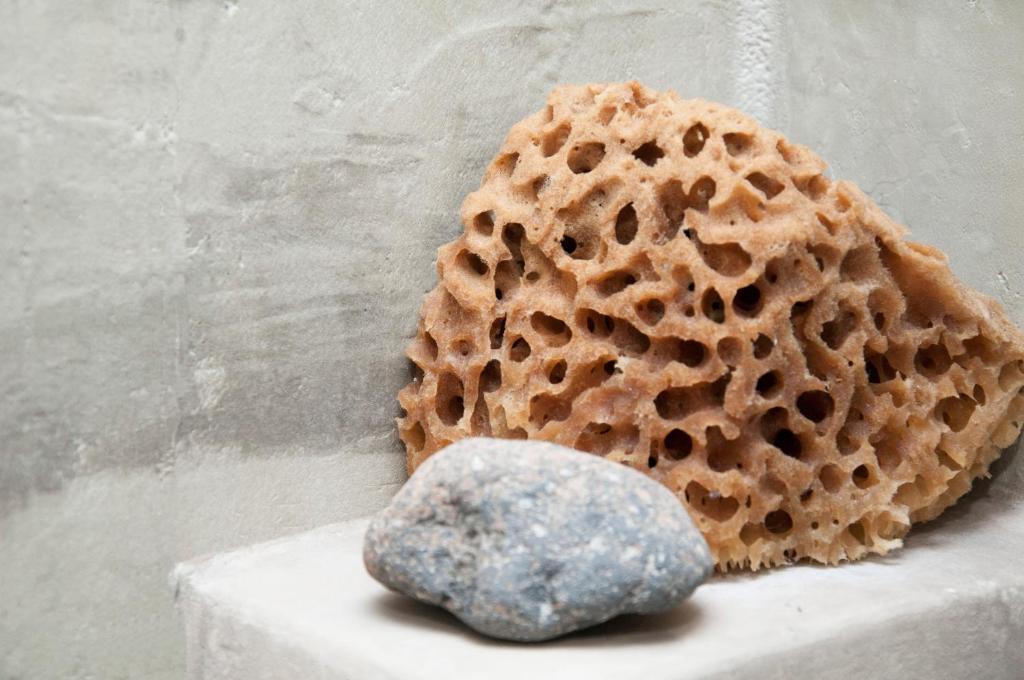 Alexandra's Home - 9