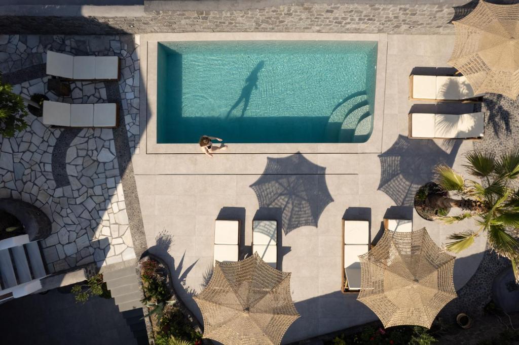an overhead view of a swimming pool with a dog sitting next to it at Santa Mar ECO Suites in Karterados
