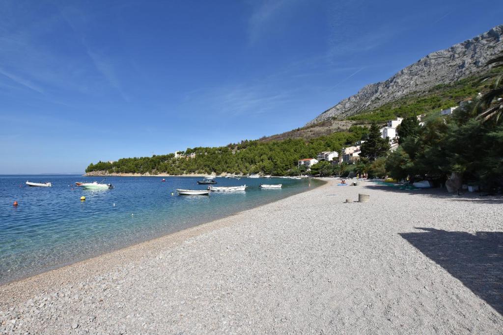 Príroda v okolí apartmánu