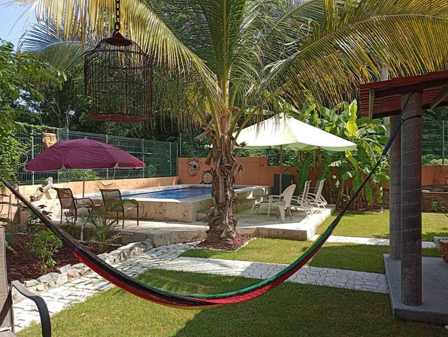 a hammock in a backyard with a palm tree and a pool at Manzanillo BNB in Manzanillo