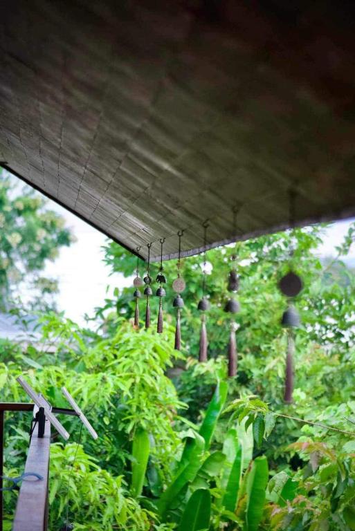 Jardí fora de Rai Phuchat