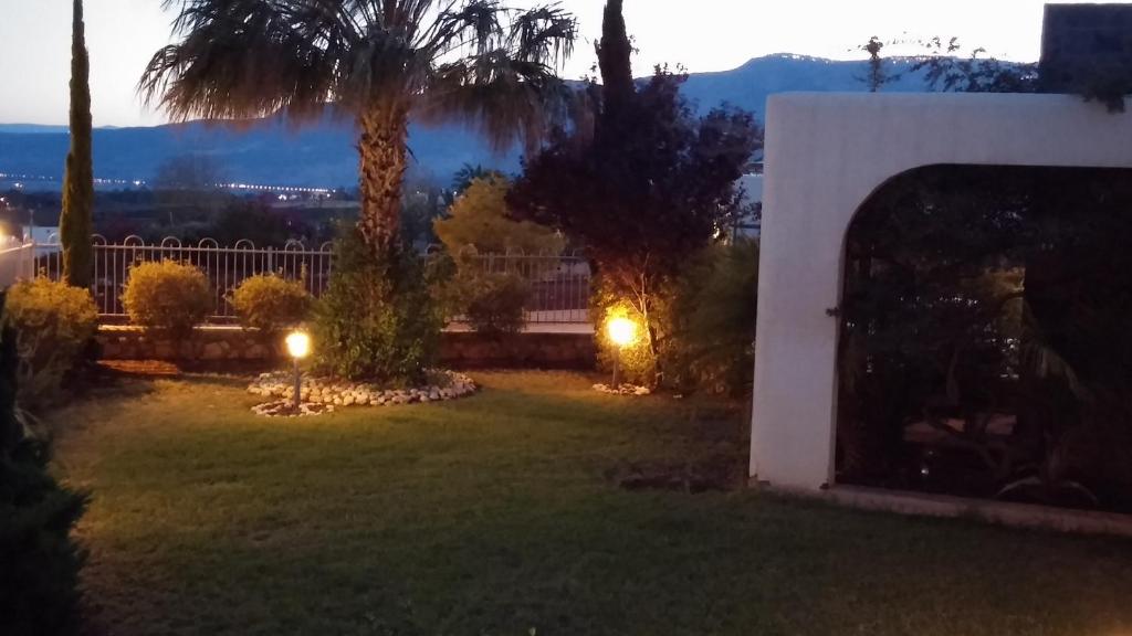 a yard with a gate and palm trees at night at Greek Relaxation in Ma‘yan Barukh