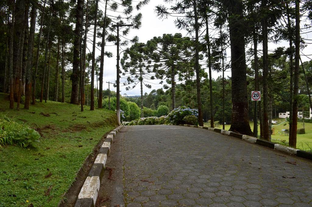  Satélite - Campos do Jordão