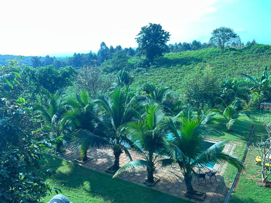 Jardí fora de Rai Phuchat