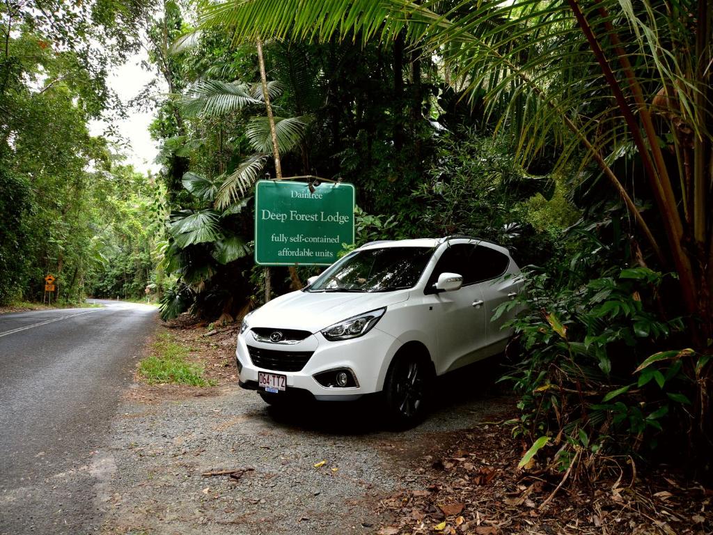 Fotografie z fotogalerie ubytování Daintree Deep Forest Lodge v destinaci Cape Tribulation