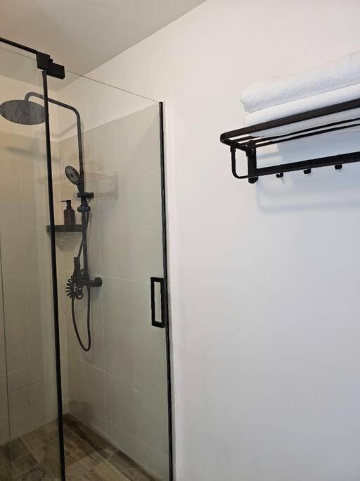 a shower in a bathroom with a glass door at T2 cosy avec place de parking in Mamoudzou