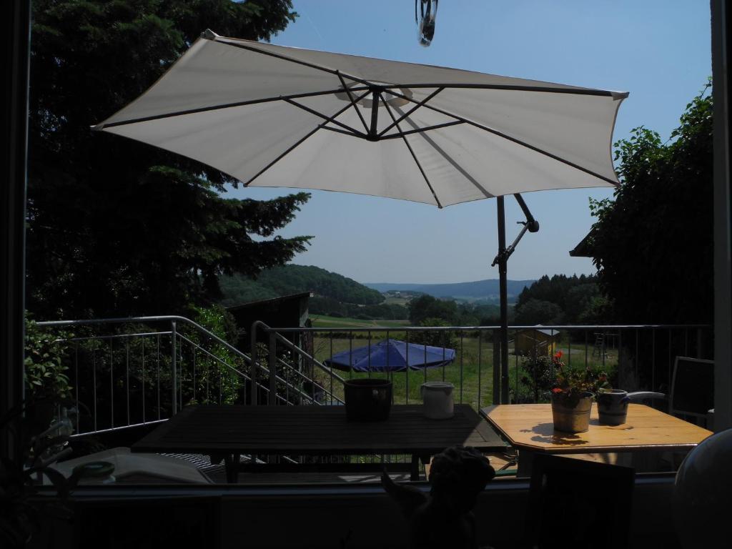 Příroda nedaleko bed and breakfast
