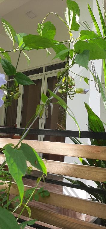 Zahrada ubytování Dhanudi Homestay