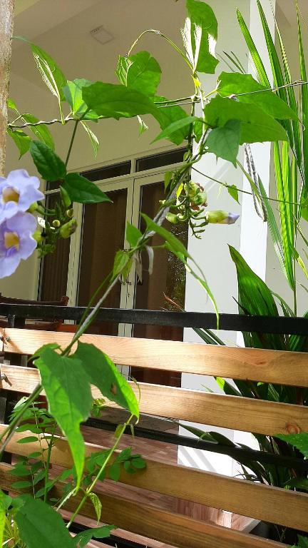 Zahrada ubytování Dhanudi Homestay