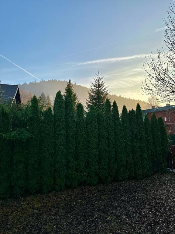 Osada Barbanica - 17