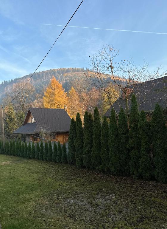 Osada Barbanica - 15