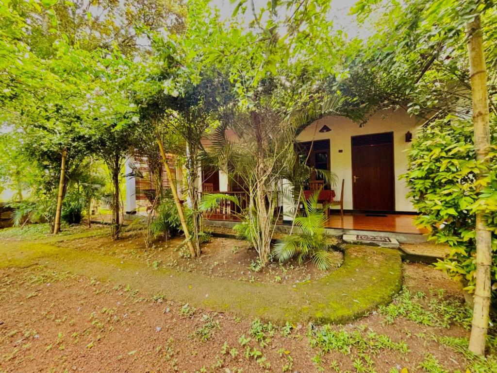 Zahrada ubytování Woodholic Homestay