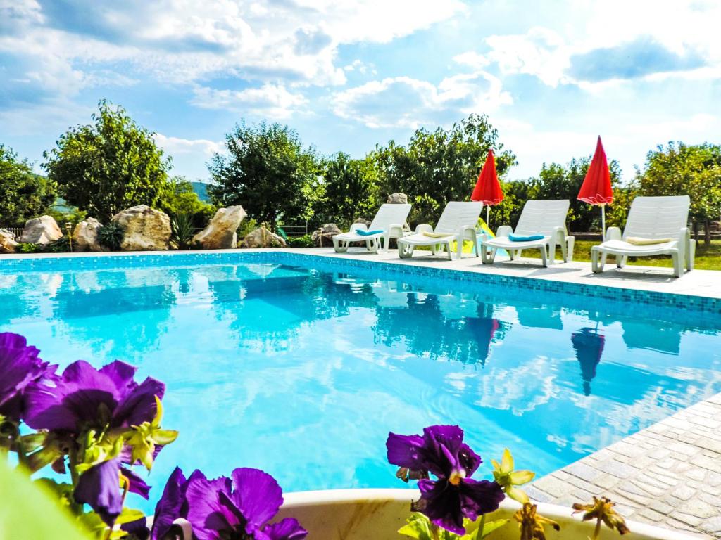 una piscina con sillas blancas y flores púrpuras en Villa Iva en Kraj