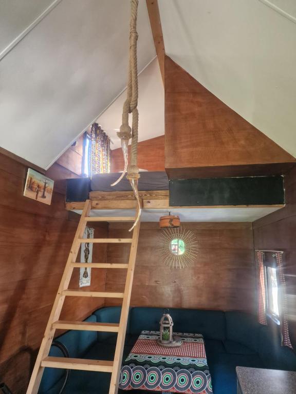 Palanda nebo palandy na pokoji v ubytování Tiny House
