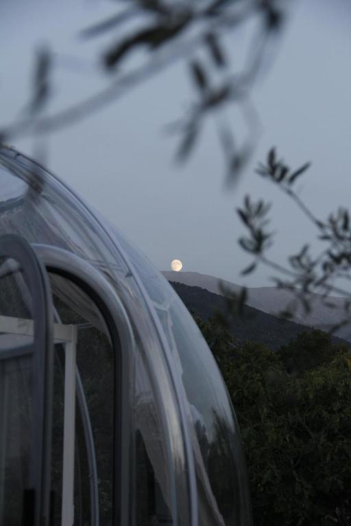 Glamping & Spa Luna Azzurra - Carpa