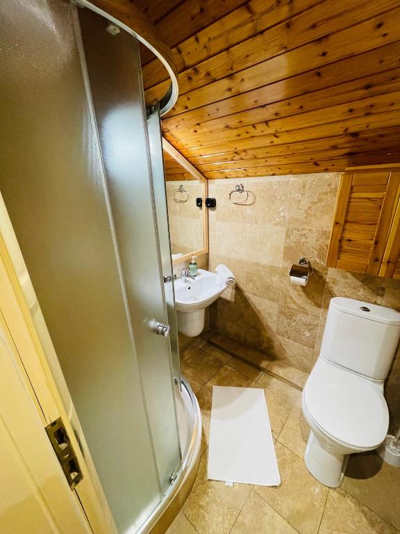 Downtown Apartments with shared kitchen - Resim 8