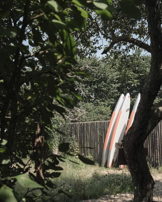 Fotografie z fotogalerie ubytování Lynæs Surfcenter v destinaci Hundested