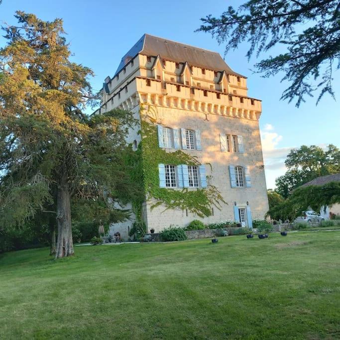 un grand bâtiment dans un champ avec un arbre dans l'établissement Château Tour du XIII siècle Gazaupouy, à Gazaupouy
