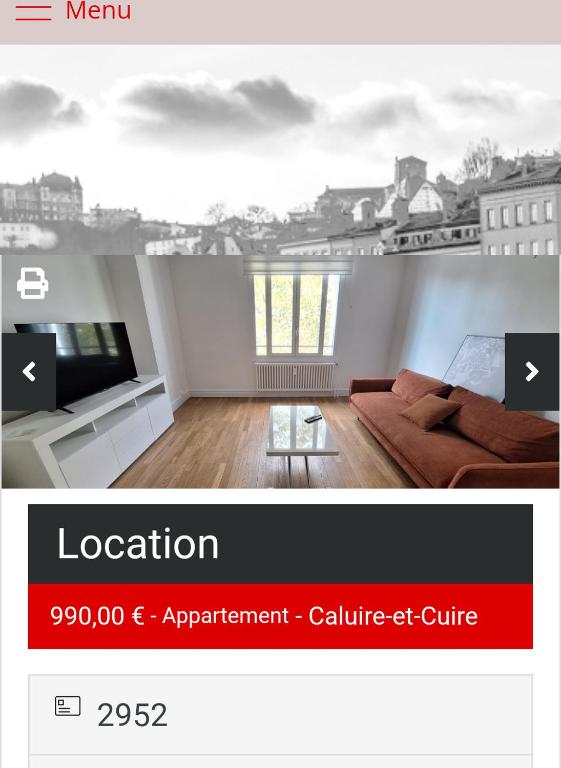 un salon avec un canapé et une table dans l'établissement Tete d or, à Caluire-et-Cuire