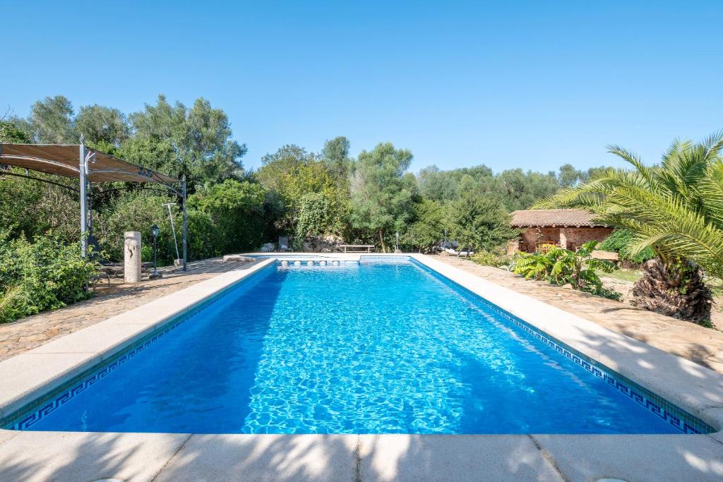 a blue swimming pool with trees in the background at Ses Estaques in Manacor