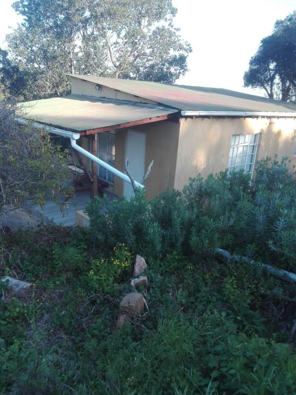 a house with a lot of bushes in front of it at Valley Cottage in Kenton on Sea