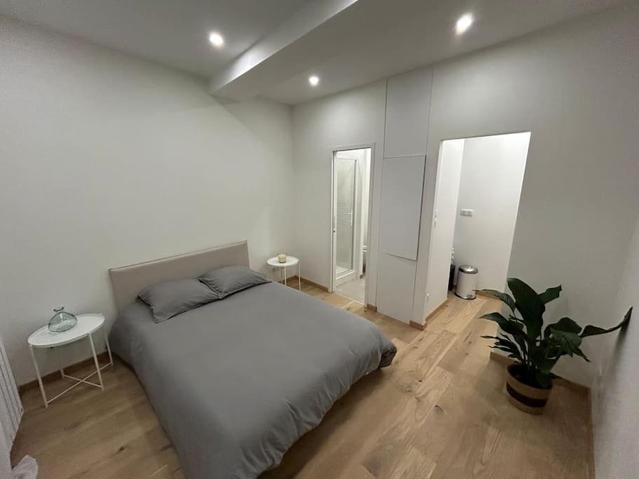 - une chambre blanche avec un lit et une plante en pot dans l'établissement Le Magnifique, Hyper centre, à Toulouse